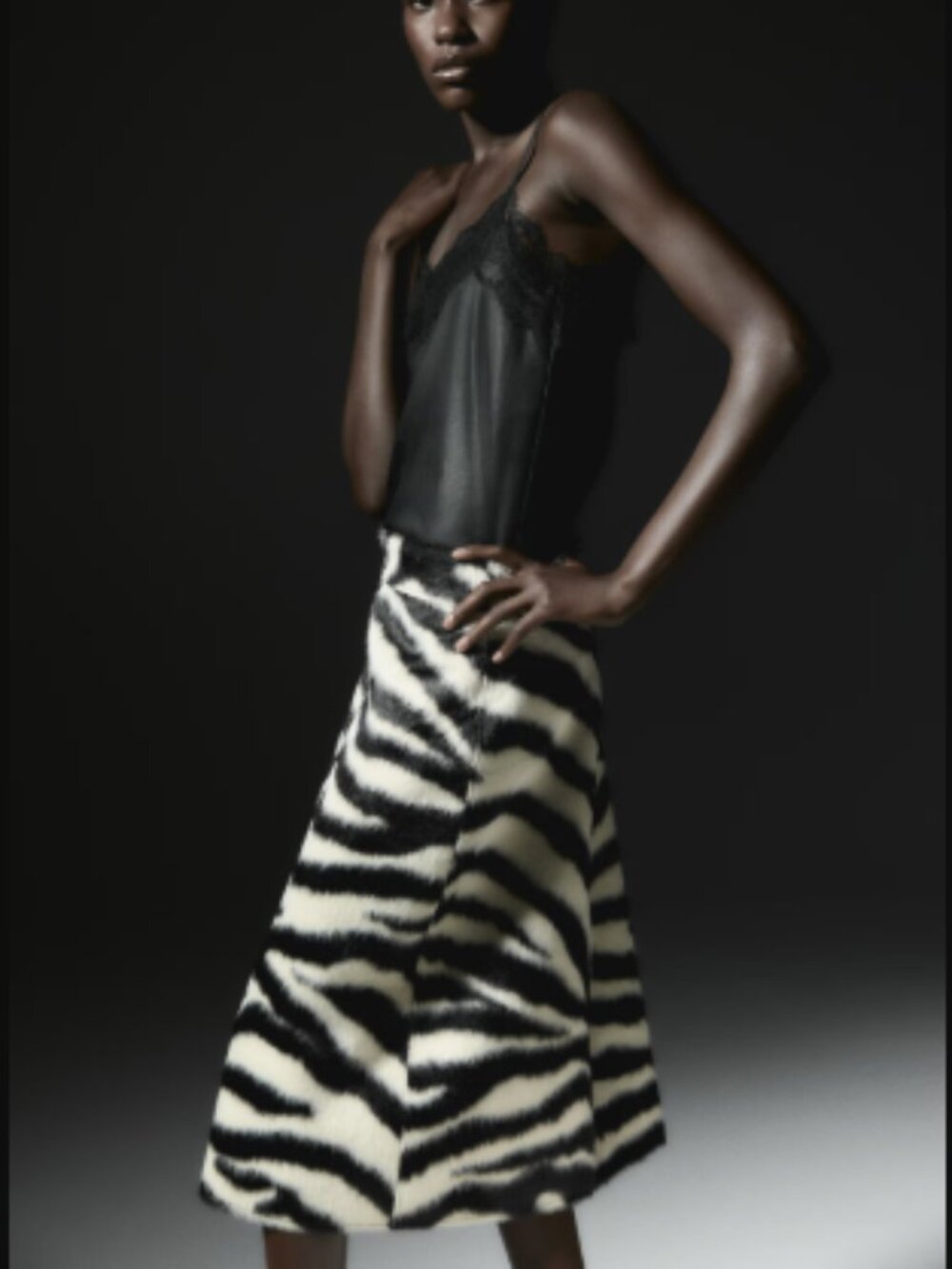 H&M Zip-Front Zebra Skirt - Picture 2 of 10